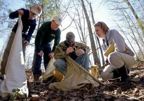 A field team associated with Dr. Hickling collects and analyzes ticks